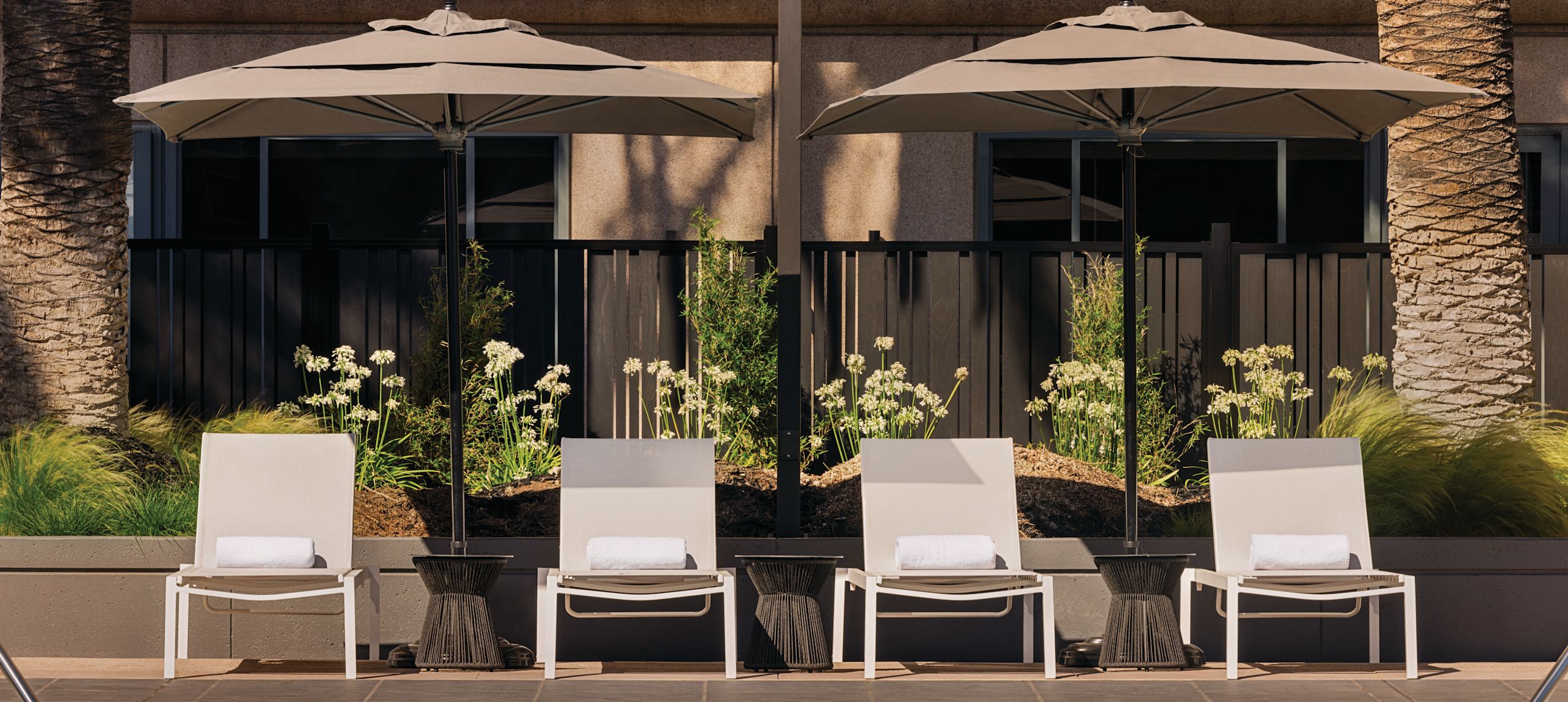 Amenities at Signia by Hilton San Jose